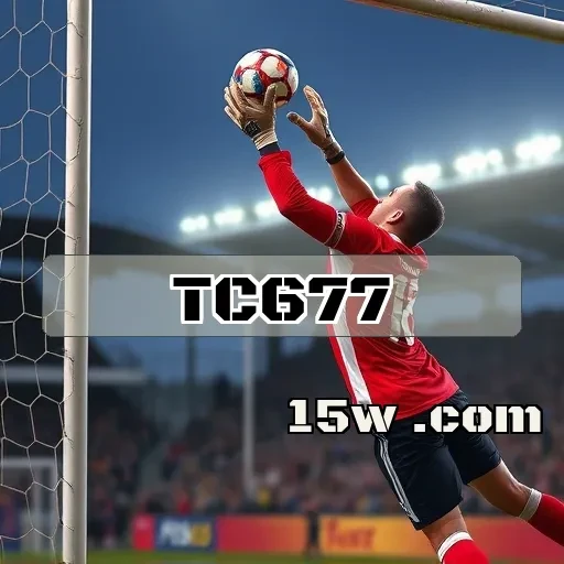 tc677.com Favoritos